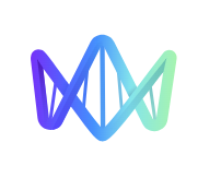Wisere logo