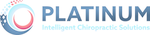 Platinum system logo