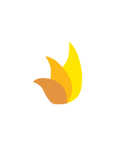 Novadontics logo